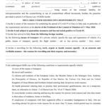 Italian Self declaration Form 2022 DeclarationForm