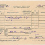 Marina Oswald 1962 Russian Customs Declaration Form Sold For 1 041