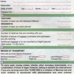 Mexican Customs Declaration Form 2022 Declaration Form