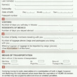 Mexico Health Declaration Form American Airlines Declaration Form