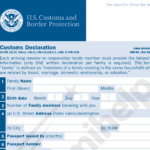 mpreun Instrui Par Us Customs Declaration Form Pur D r ma Dans