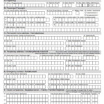 Public Health Passenger Locator Form BMK INFOTHEK