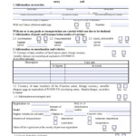 Russian Airports Immigration Card And Customs Formalities