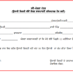Self Declaration Form In Punjabi PDF Download