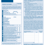 United States Customs Declaration Form