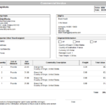 UPS International Printing UPS Customs Forms Commercial Invoices