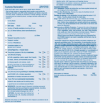 Us Customs Declaration Form 2023 Printable Forms Free Online