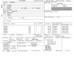 USPS Customs Declaration Form Template CYBRA