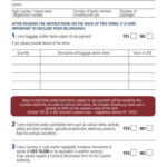 What Do You Have To Declare On Airport Customs Declaration Form